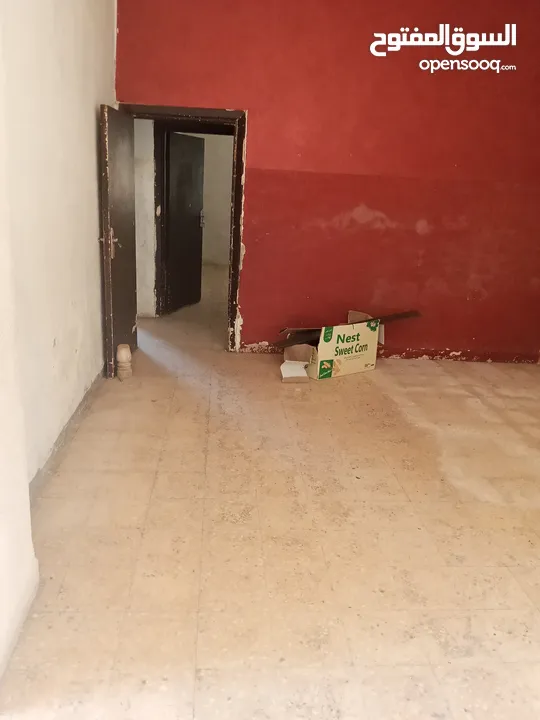 شقه للايجار