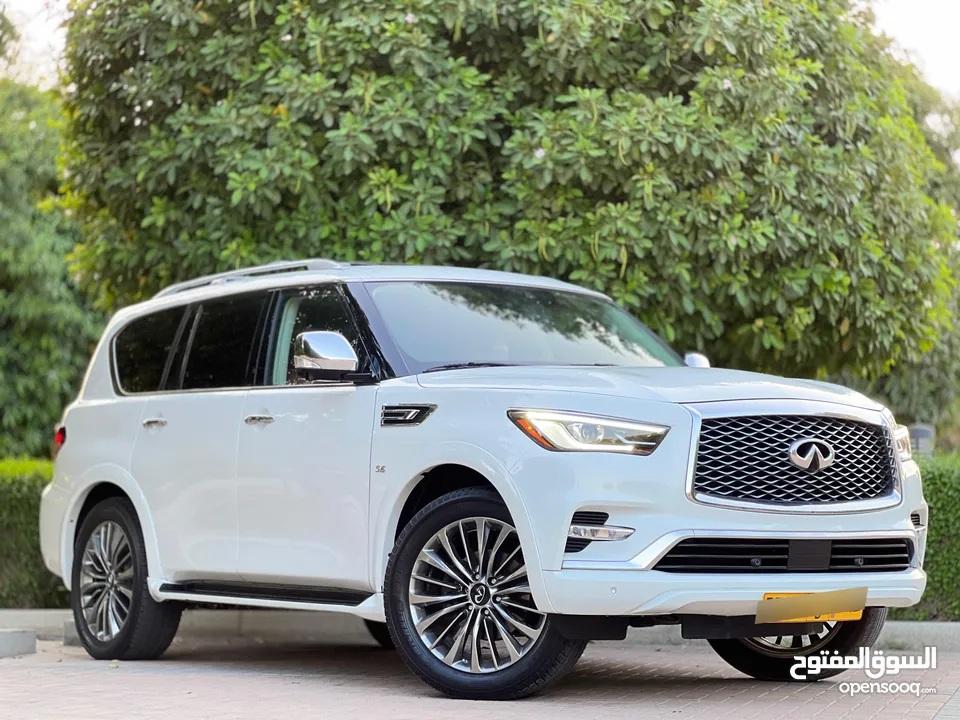 إنفينتي QX80  موديل 2019