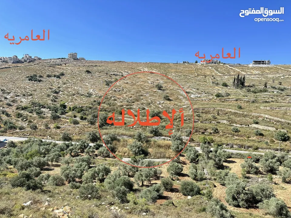 ارض في تل / العمدان