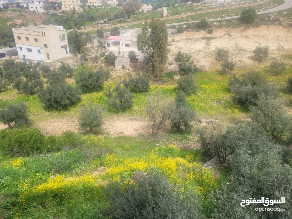دونم أرض للبيع في منطقة الراية مرصع قريبة قريبة من شارع عمان جرش