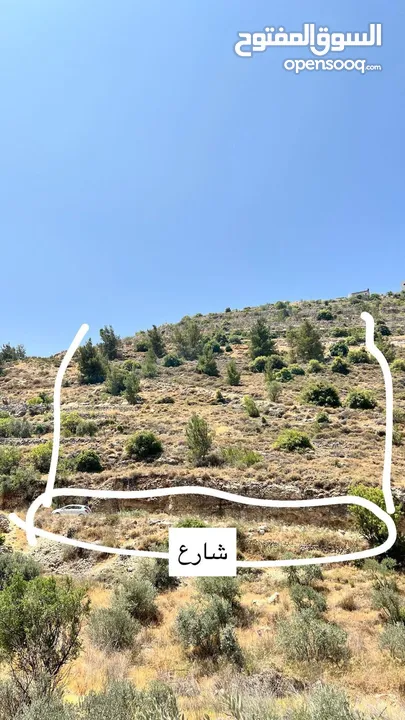 قطعة ارض تصنيف الف طابو في منطقة الخليل حسكا مساحة دونم تصنيف الف طابو