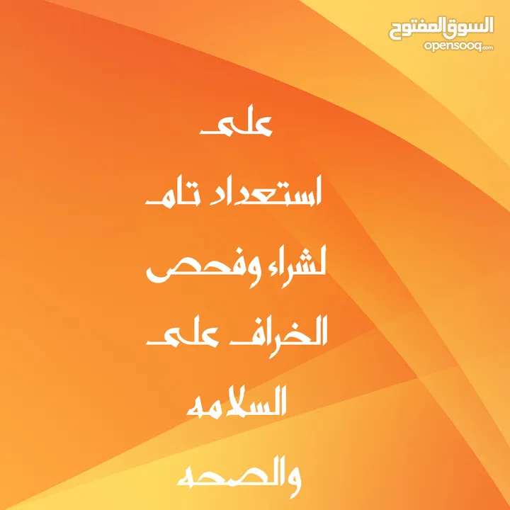 لحام جزار لذبح وبيع   عقائق نذور فدو ولجميع المناسبات الاجتماعية  في البيت عندك أو في الملحمة عندي