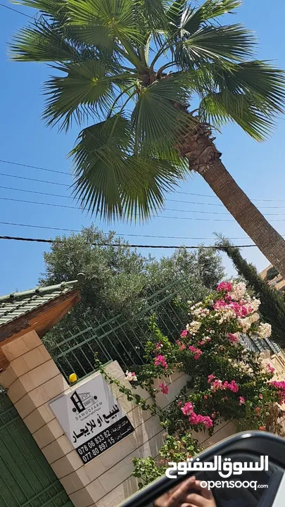 مين لسى ماحجز عنا !