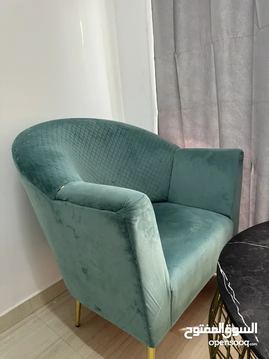 Two Cushioned chairs (Sofa) with table