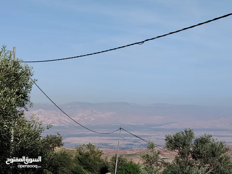 مزرعة زيتون ملوكية اطلالة ع الغرب و جبال فلسطين ع ثلاث شوراع قرب شارع الستين ثغرة السلطان