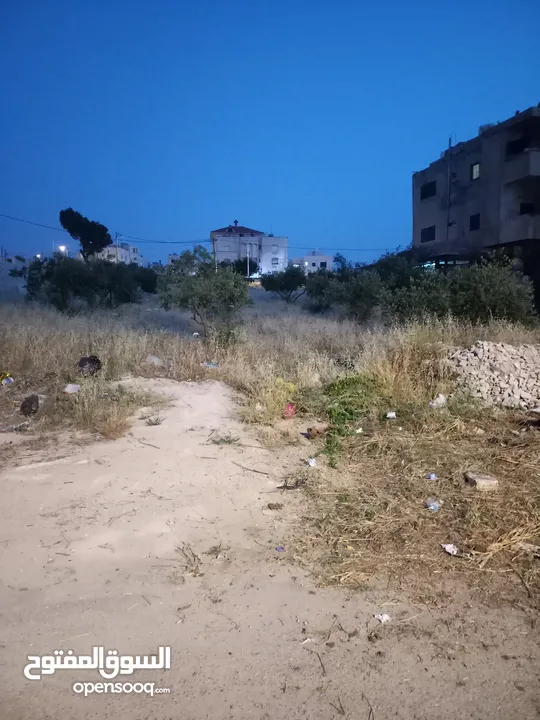 قطعة أرض للبيع اربد زبدة فركوح من المالك مباشرة