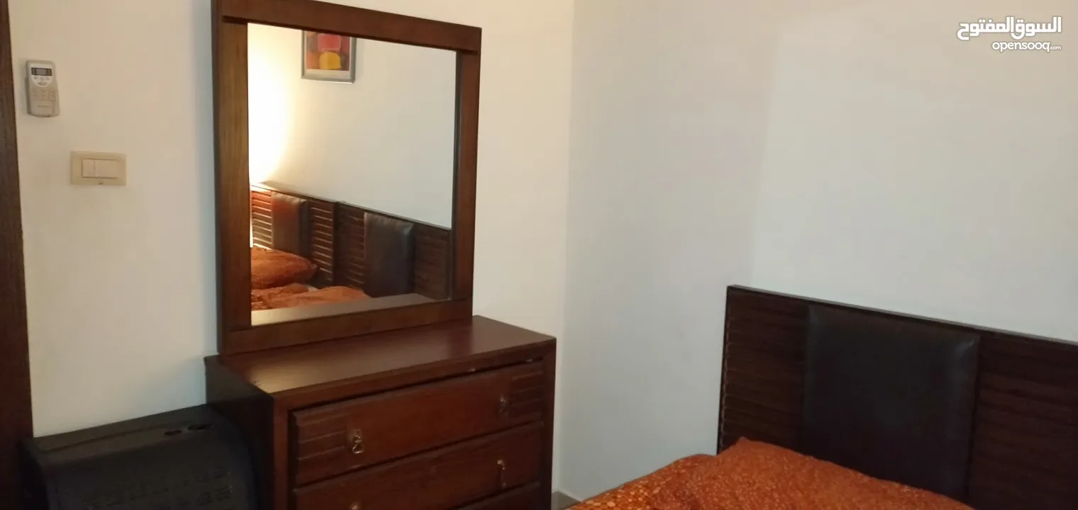 furnished modern flat for rent