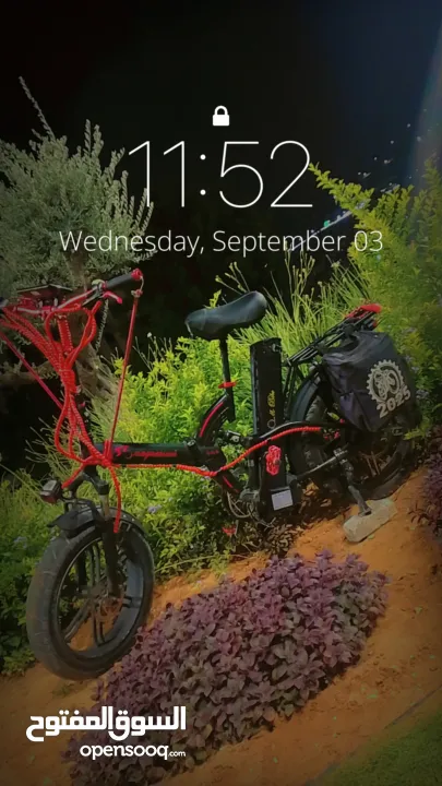 بسكليت كهرباء للبيع