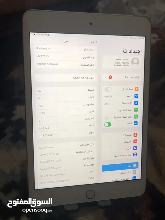 iPad mini 4 (128GB)