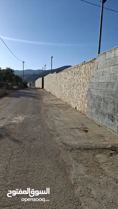 مزرعة وشاليه في جرش