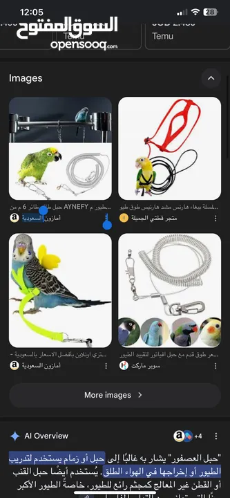 مطلوب حبل ببغاء للطيران الحر