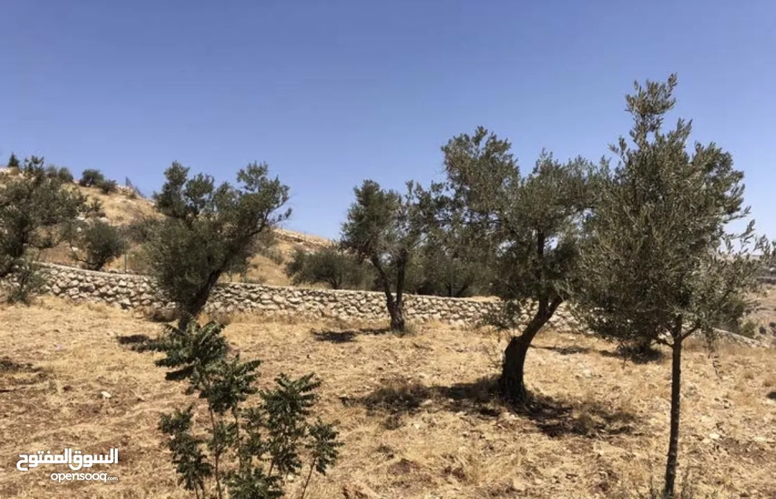 مزرعة للبيع في السلط
