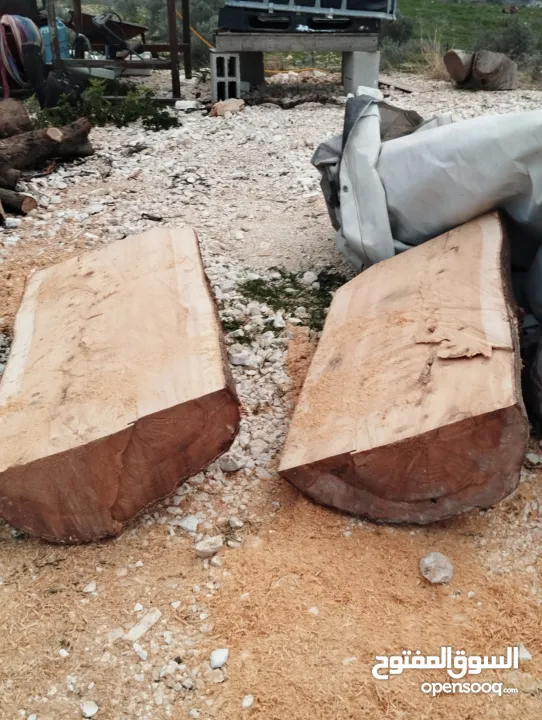 فحمه جنين أبو قصي