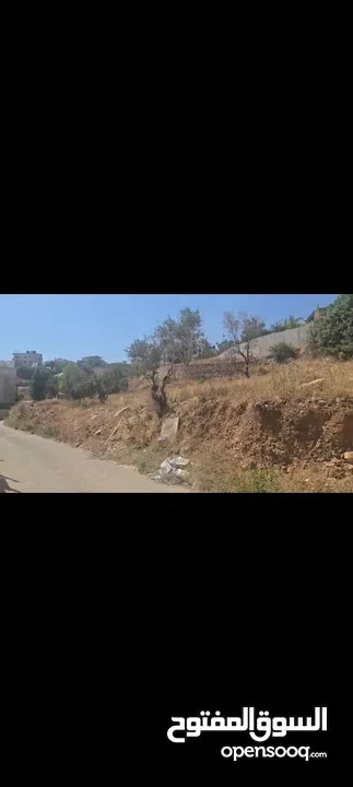ارض عاليه ومطله ومرتفعه صالحه للبناء  واصل كل الخدامات  للبيع في منطقه جفنا 650متر