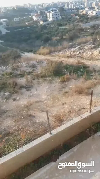 ارض للبيع في بلدة فرعون طولكرم