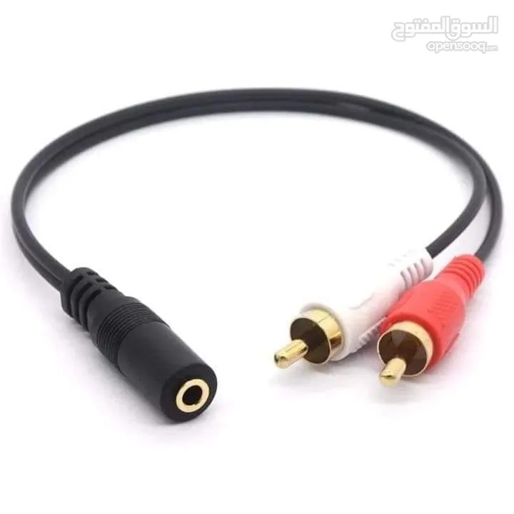 راسية RCA متوفر ذكر وانثى