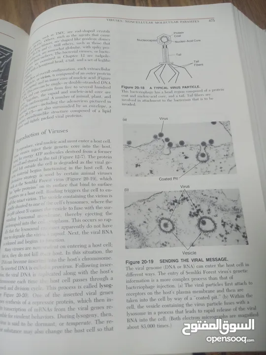 كتاب بعنوان biology