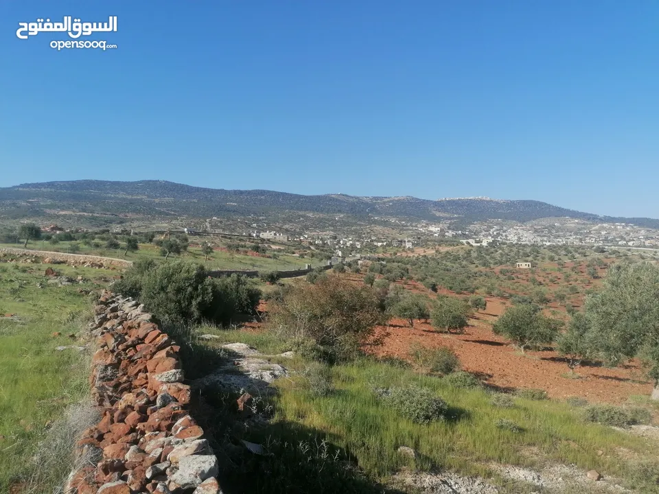 مزرعة مرتفعه ومطلة بسعر مغري