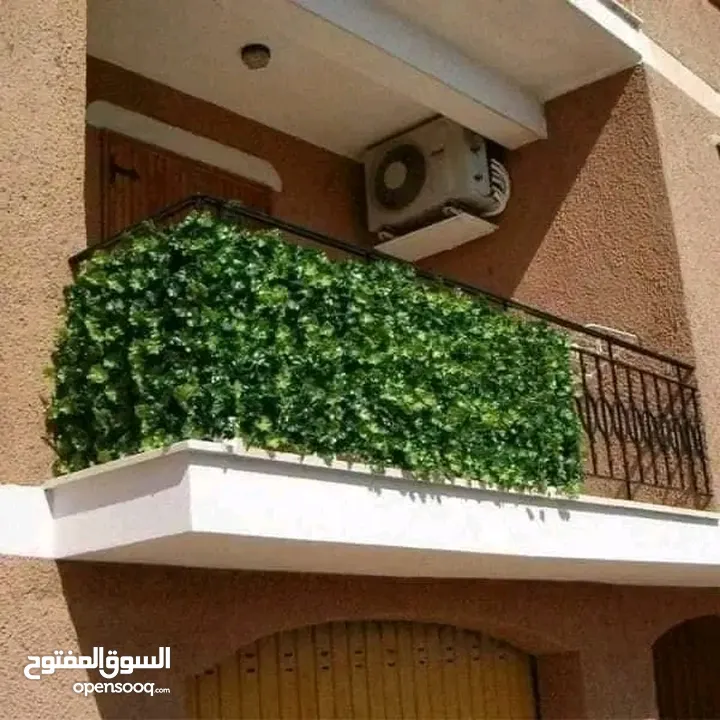 رول ورق شجر اخضر كثيف