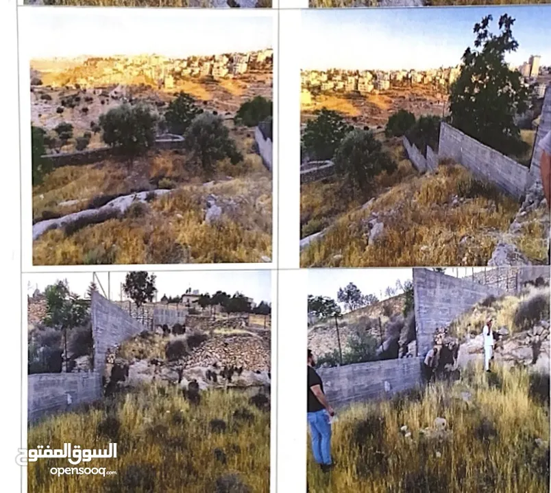 إعلان بيع أرض في منطقة وادي المسلم / الكركفة - بيت لحم