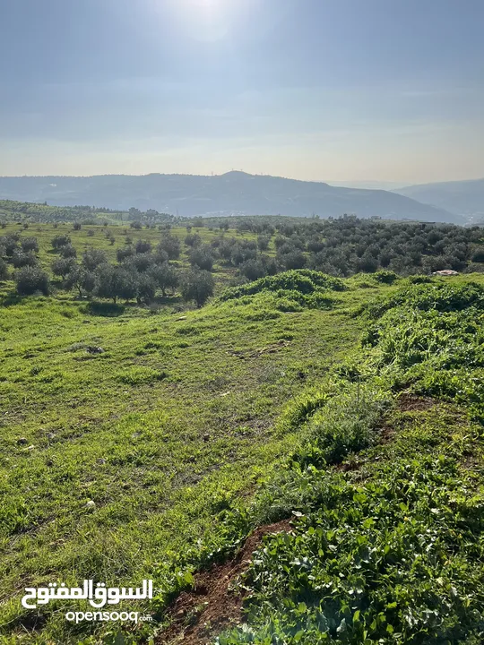 ارض للبيع جرش عنيبه منطقة شاليهات مساحة الارض 3500متر بقوشان مستقل اطلاله مميزه جدا جدا