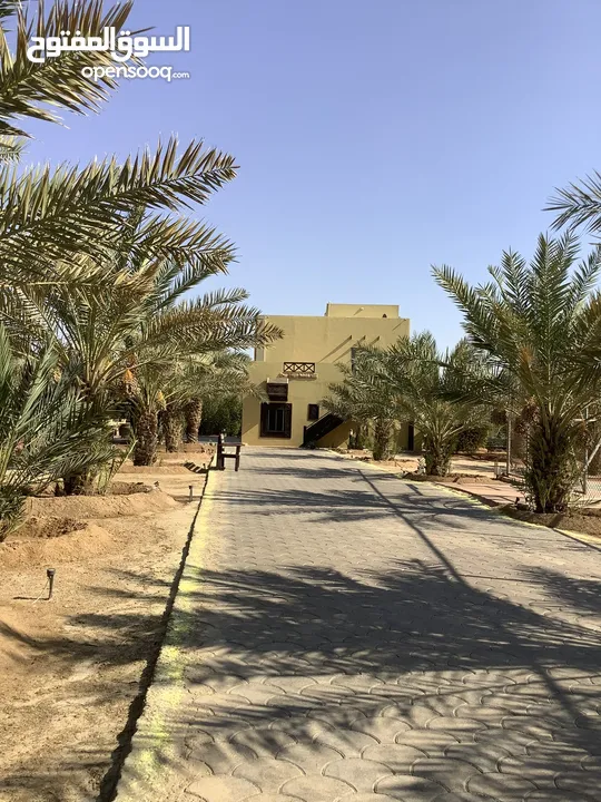 مزرعة في البحر الميت/ الشونه الجنوبية / السويمه / حوض جلد مميزة للبيع للجادين فقط