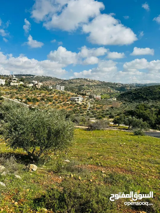 ارض للبيع من المالك في بدر الجديدة حي السويسة