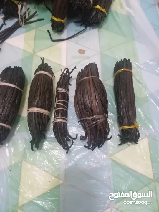 فانيلا طازج من مدغشقر Fresh Vanilla Beans From Madagascar