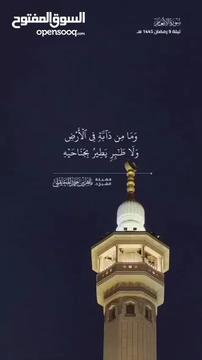 متوفر صوص عمر شهرين موجود 80 حبه  متوفر صوص عمر 30 يوم 300 حبه ماخذات جميع المطاعيم