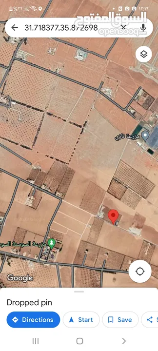 للبيع ارض جنوب عمان جلول حوض بئر البيت 10005 متر