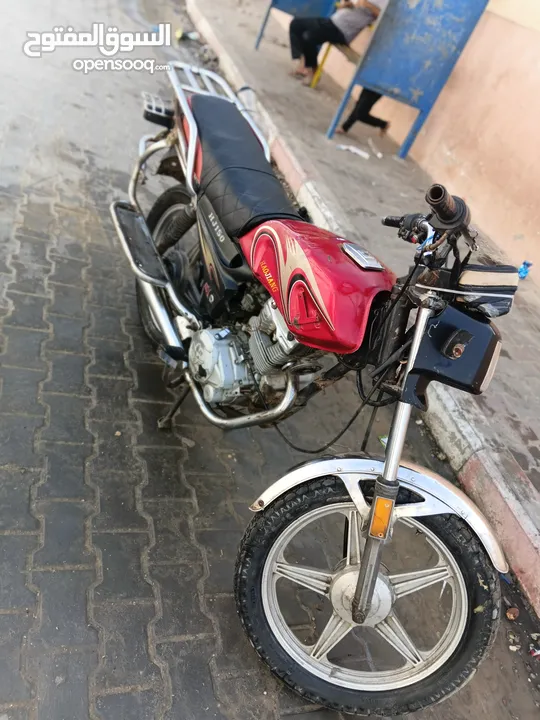 فزبة ضبعة 2016