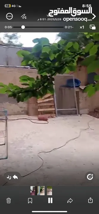 شقه للبيع في ابو نصير