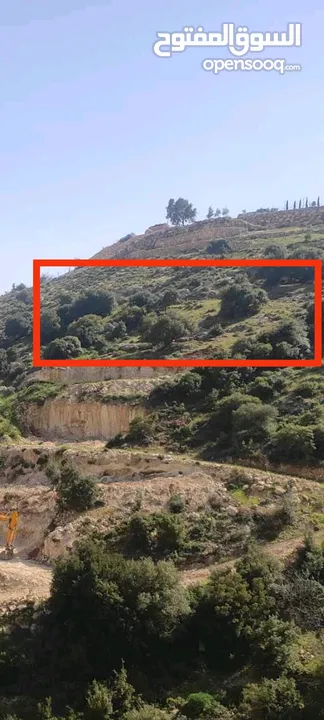 ارض للبيع في منطقة واد رحال حوض البيضة الجنوبي الشراء من المالك مباشره