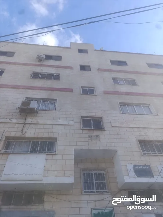شقق او بيت منفصل للايجار و يصلح لكل حاجة