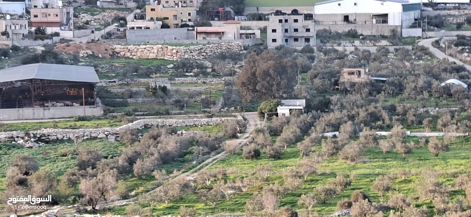 800متر طابوا فلسطيني في اجمل موقع بالكفريات واطلالة مميزةمنطقة( b)صالحة للبناء
