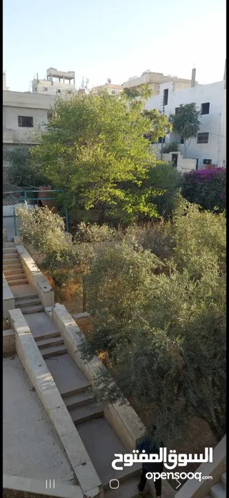 عمارة في حي القادسية للبيع موقع ممتاز وحيوي