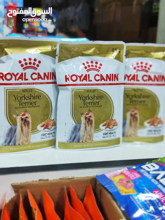 ويت فود رويال كانن