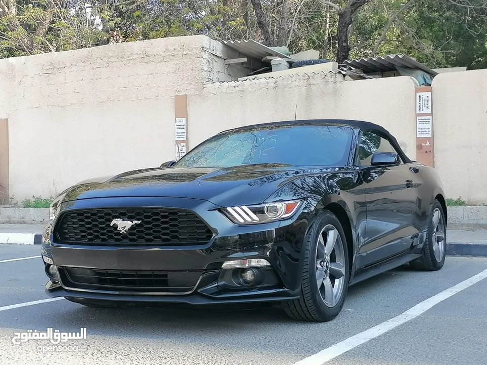 فورد موستنج ستة سلندر 2017 كشف Ford Mustang V6 Convertible