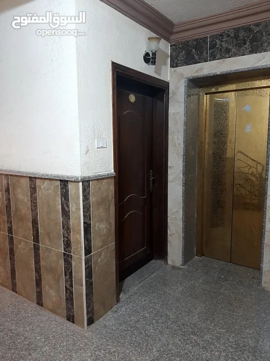 شقة أرضية قرب جامعة اليرموك