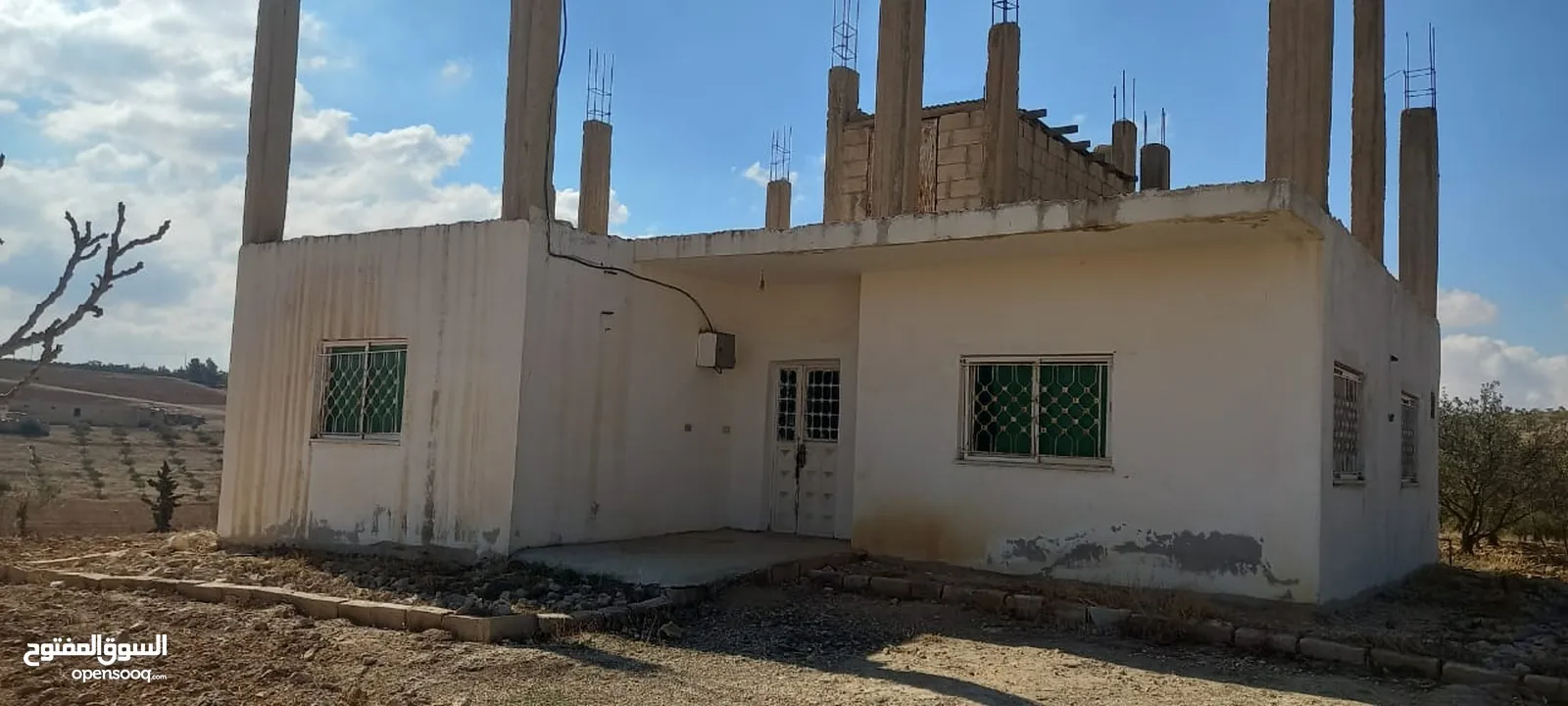 مزرعة زيتون للبيع