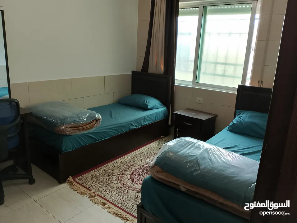 ستوديو مفروش