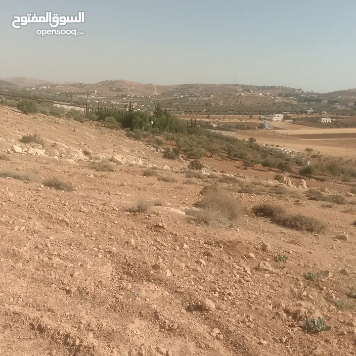 قطعة ارض شرق جرش مرويه من بئر ارتوازي مطله ومرتفعه بسعر مغري متوفر أكثر من 50 قطعه في نفس المنطقه
