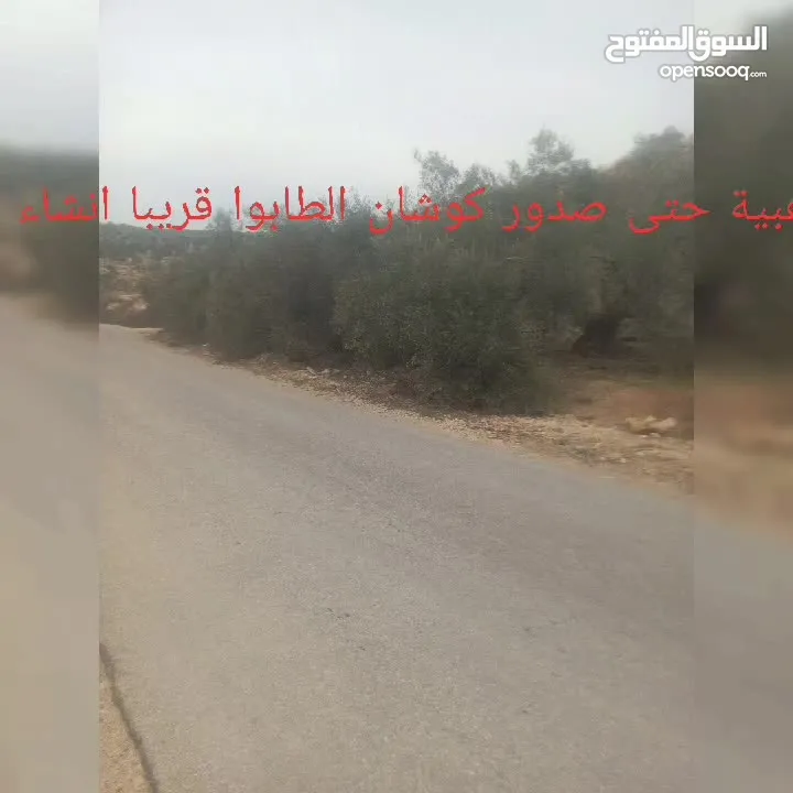 القبة الذهبية اراضي بلعا دير الغصون