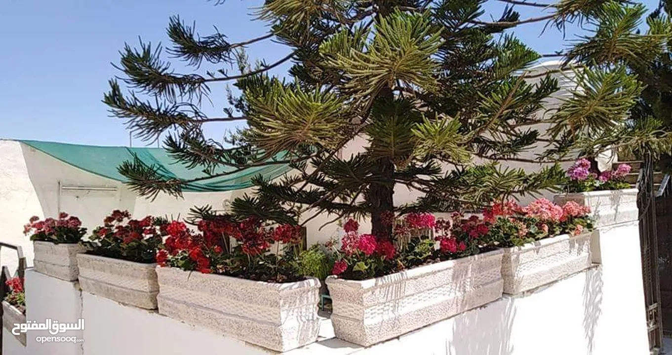 قوار حجر صناعي