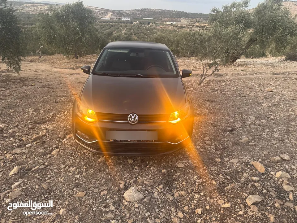 بولو جير عادي الحبة النادرة باللون و الجمال و الفحص