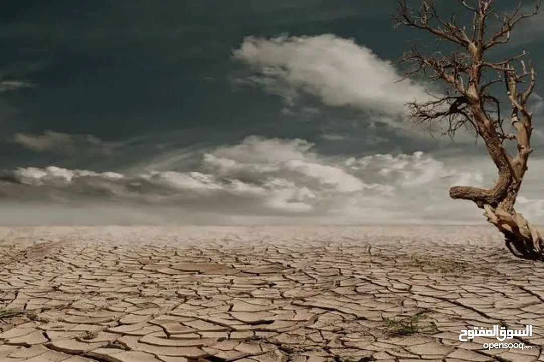 ابو يوسف سلامة