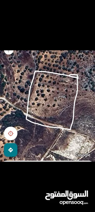 ارض للبيع كوشان نظيف