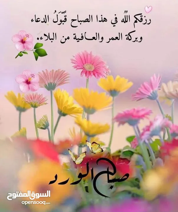 مترجم فوري ايطالي عربي