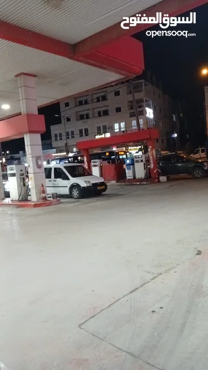 رينو فلونس