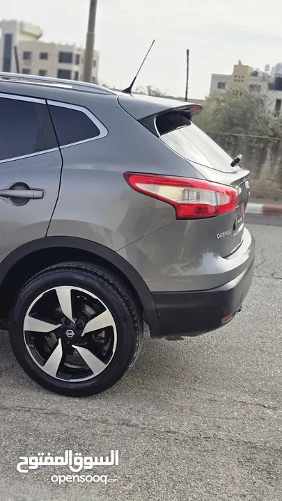 ميسان قشقاي بسعر حرق